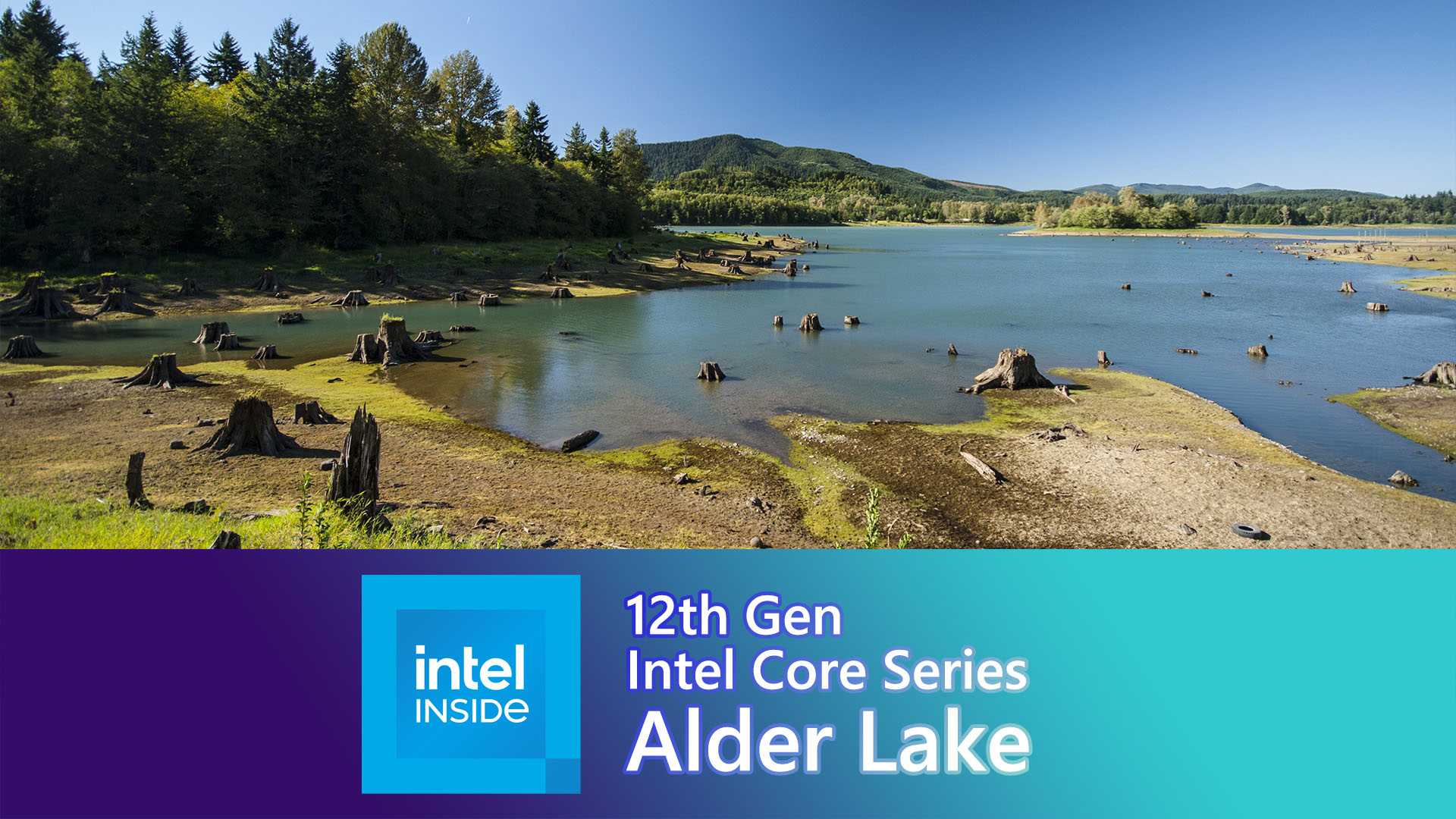 Alder Lake-SはTigerLakeに対してシングルコア性能が20%向上