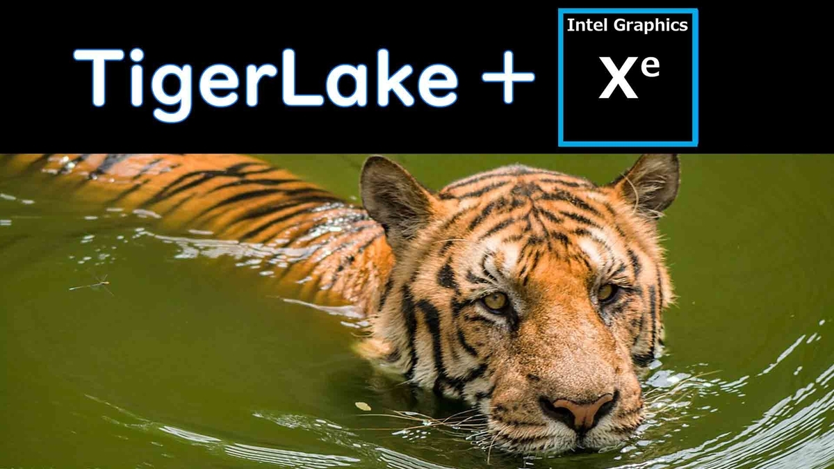 Intel 『Tigerlake』と『Xe』が9月2日発表予定